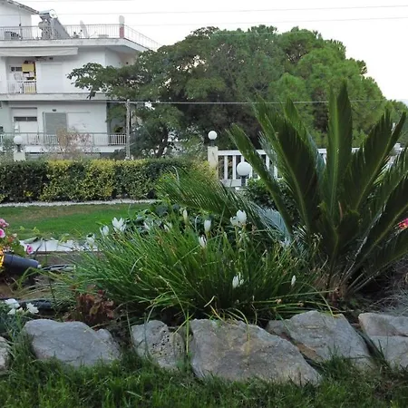 Belle Vue * PalaiónTsiflíkion