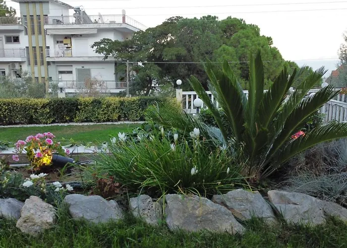 Belle Vue * PalaiónTsiflíkion